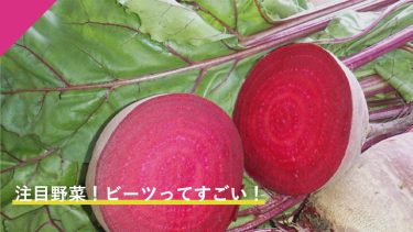 注目野菜！　ビーツってすごい！